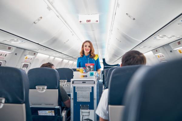 Flight attendant cover letter
